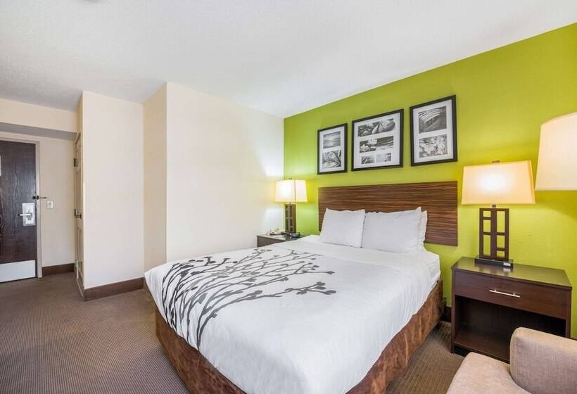 ホテル Sleep Inn Statesville I 40