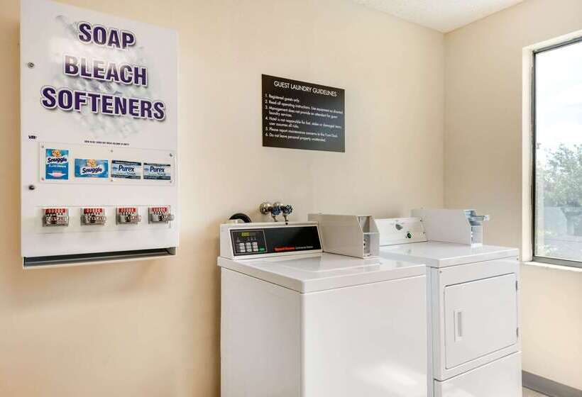 Spot X Hotel Tampa   Wesley Chapel By The Red Collection