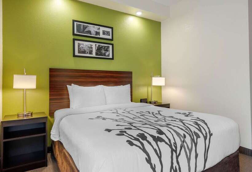 Spot X Hotel Tampa   Wesley Chapel By The Red Collection