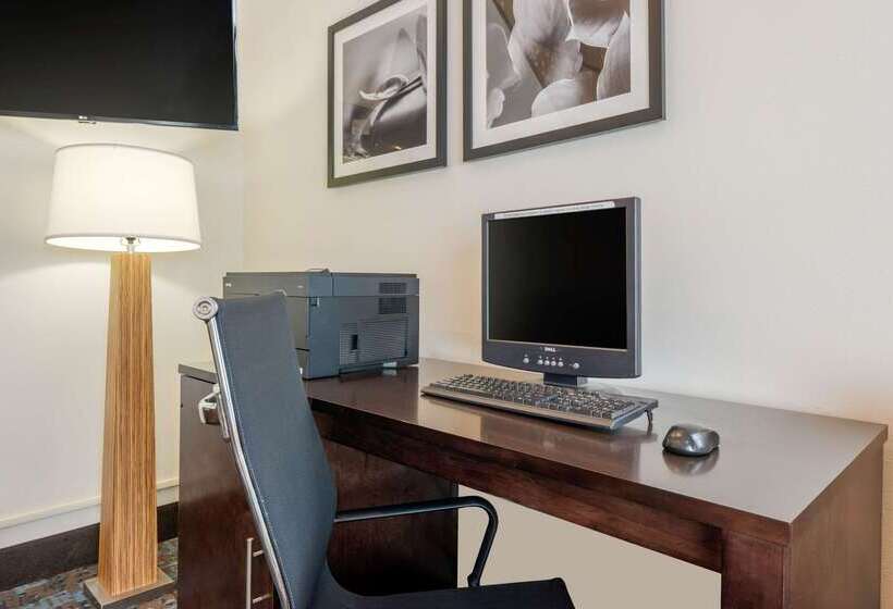 Spot X Hotel Tampa   Wesley Chapel By The Red Collection