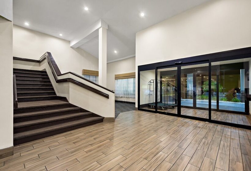 Spot X Hotel Tampa   Wesley Chapel By The Red Collection