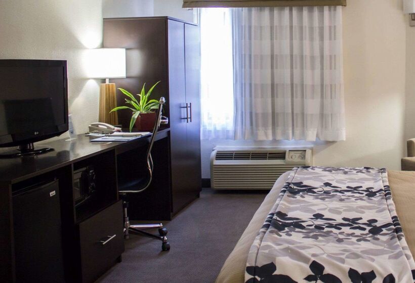 ホテル Sleep Inn Wilson Near I 95