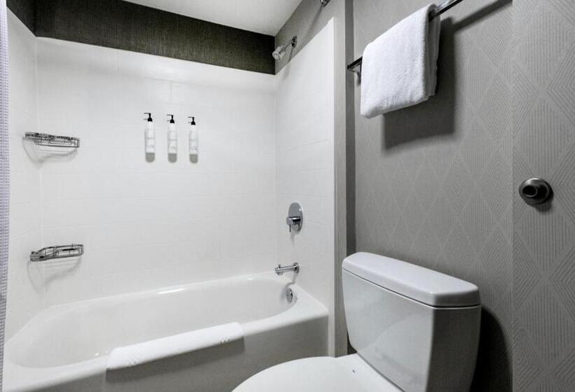 فندق Springhill Suites Anchorage Midtown