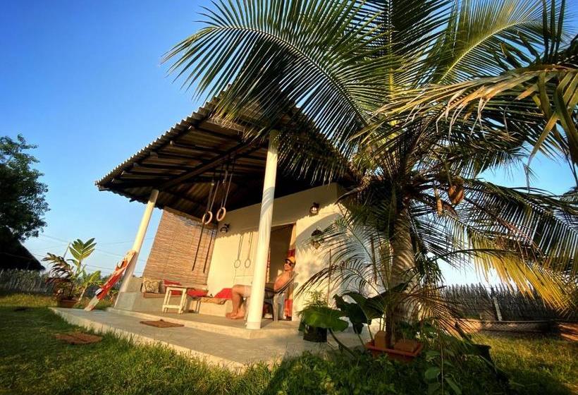 هتل Coco Cabana Kite Resort Kalpitiya