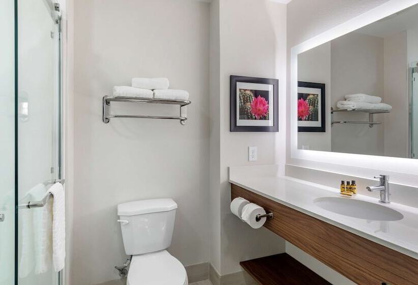 ホテル Best Western Plus Desert View Inn & Suites