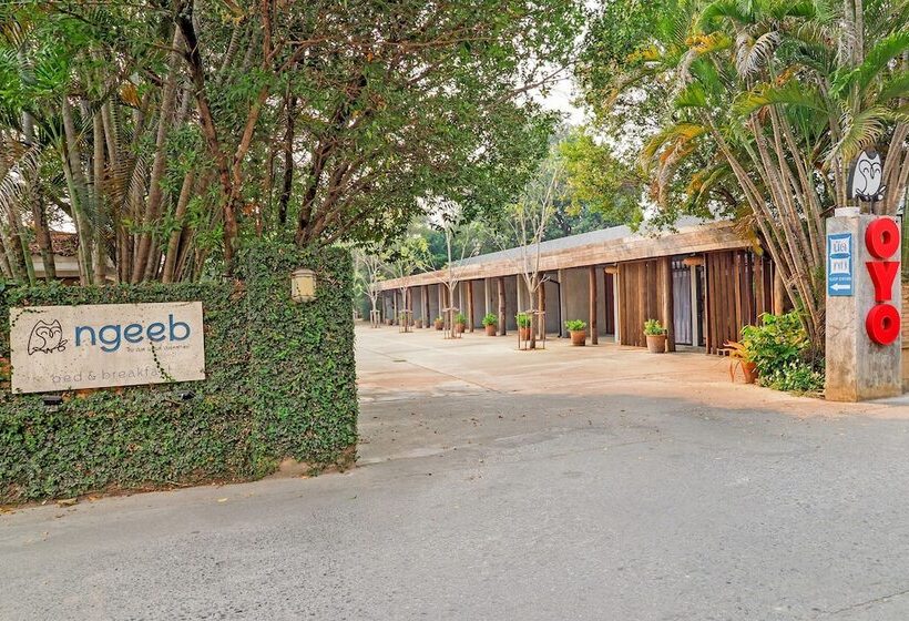 Отель Ngeeb Bed & Breakfast
