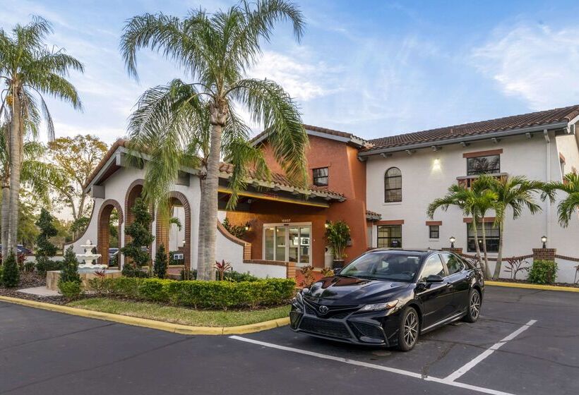 فندق Clarion Pointe Tampa Brandon Near Fairgrounds And Casino