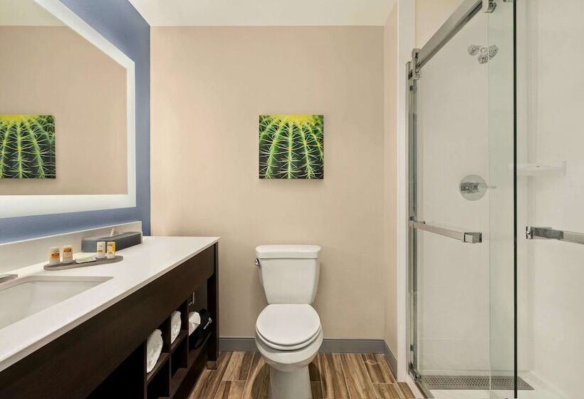 Отель Laquinta Inn & Suites By Wyndham San Bernardino