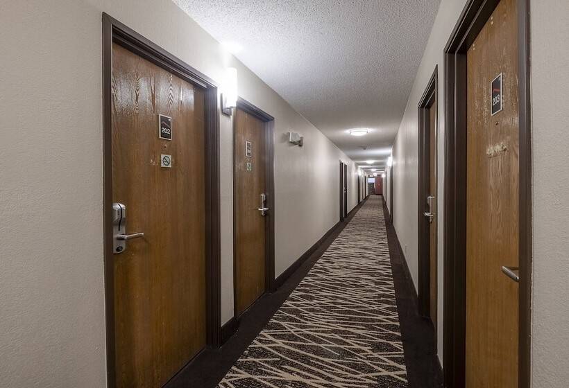 فندق Red Roof Inn Bristol