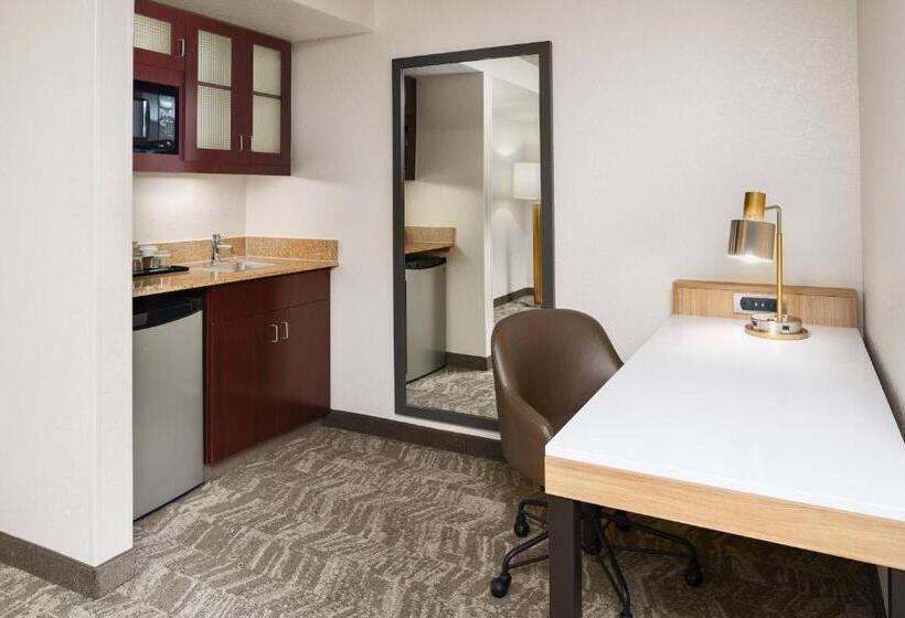 هتل Springhill Suites Houston Hobby Airport