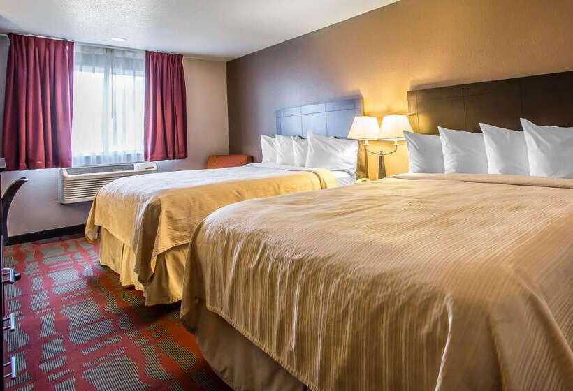 汽车旅馆  Quality Inn & Suites