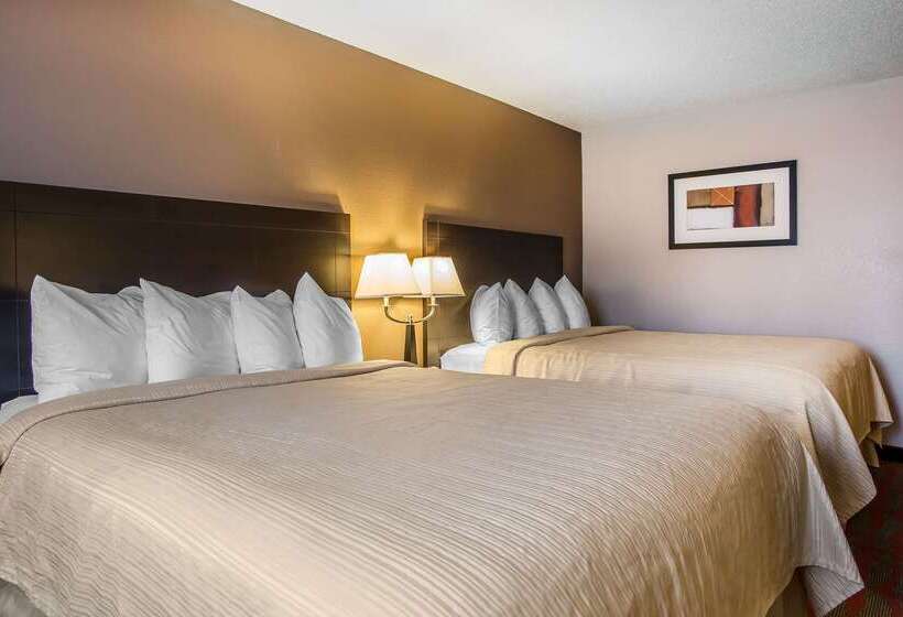 汽车旅馆  Quality Inn & Suites