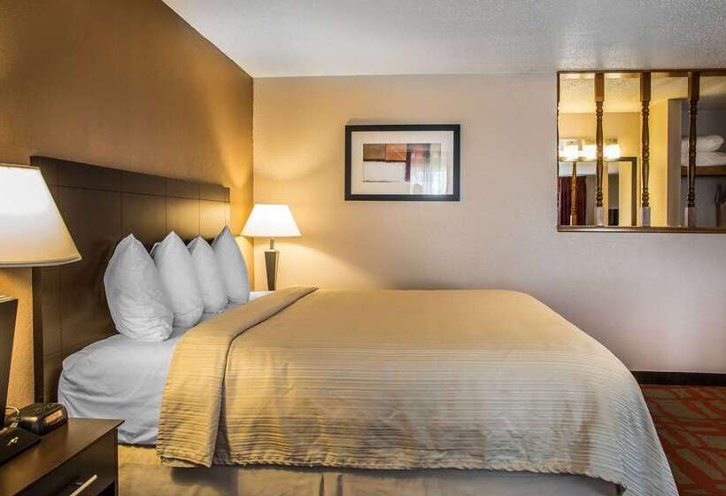 汽车旅馆  Quality Inn & Suites