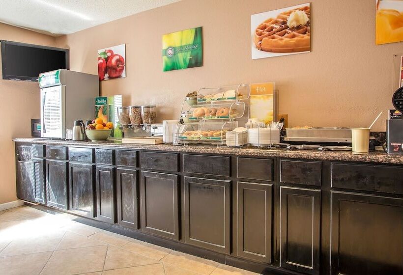 汽车旅馆  Quality Inn & Suites