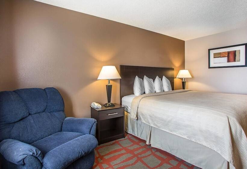 汽车旅馆  Quality Inn & Suites