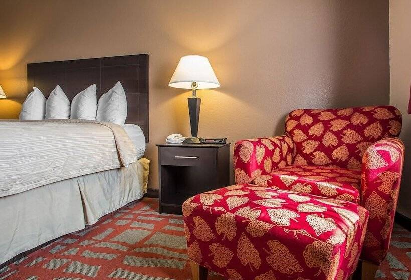 汽车旅馆  Quality Inn & Suites
