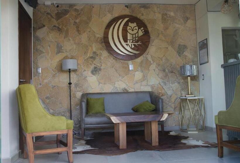 فندق Texas Inn