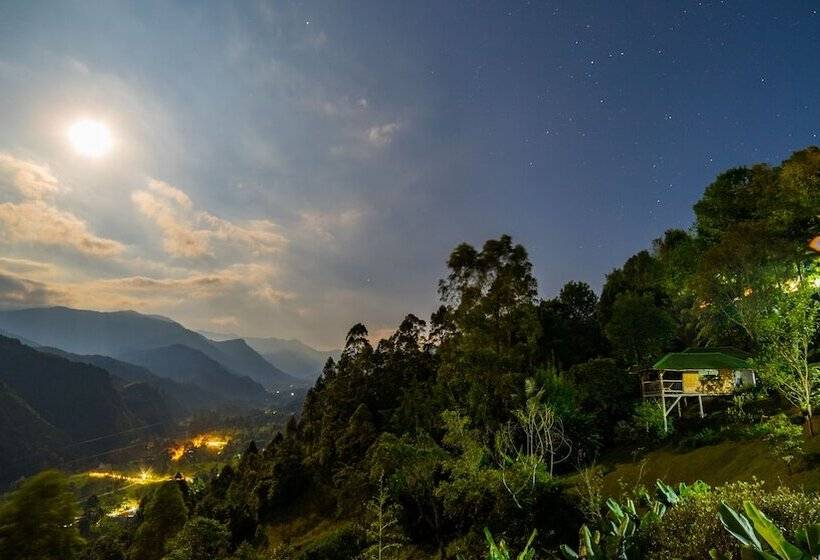 هتل Kawa Mountain Retreat