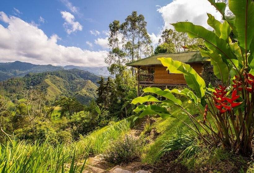 هتل Kawa Mountain Retreat