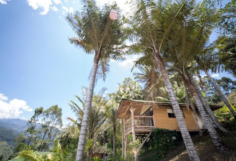 هتل Kawa Mountain Retreat