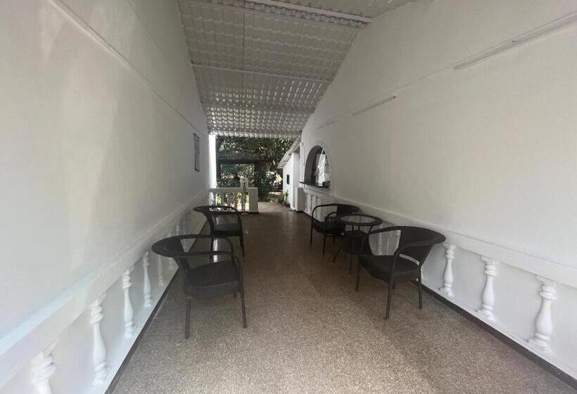 بنسيون La Petite Guest House