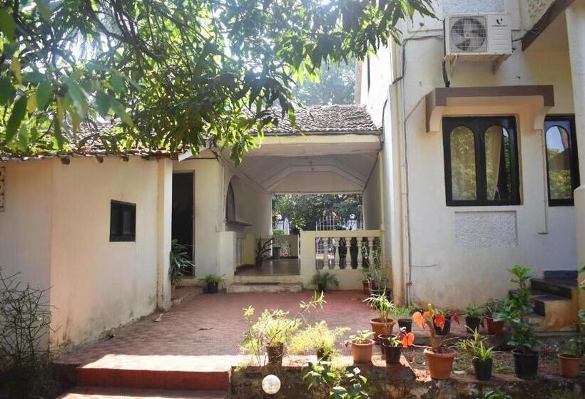 بنسيون La Petite Guest House