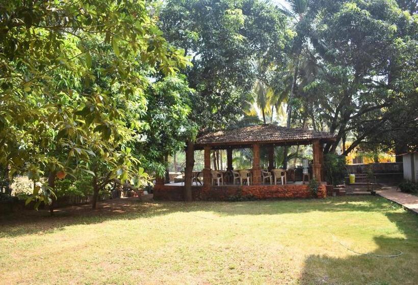 بنسيون La Petite Guest House