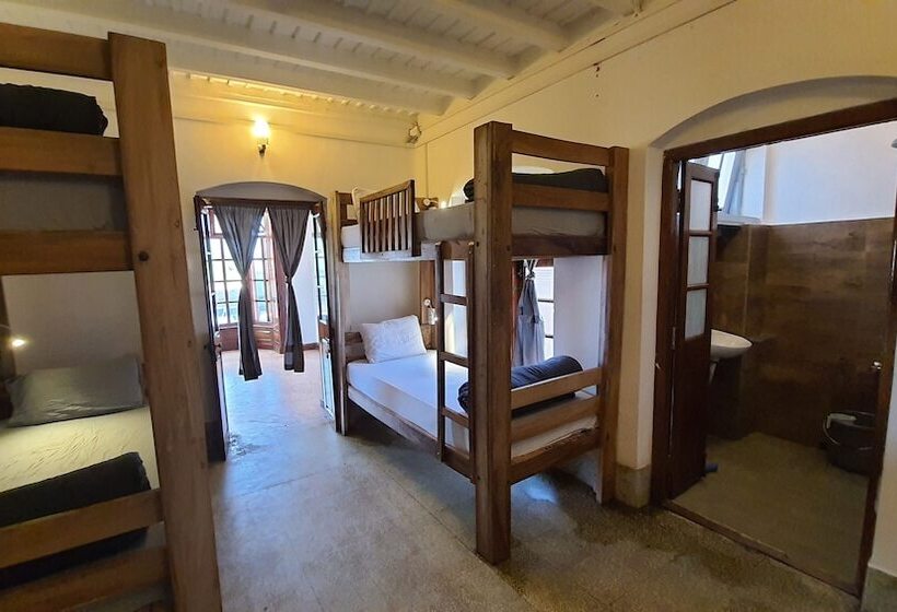 هاستل Zostel Ooty