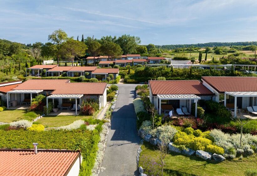 ホテル Mount Athos Resort