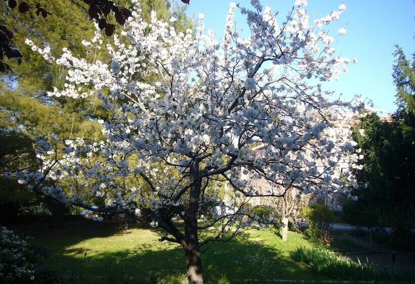 膳宿费 La Maison Du Marquis De Montauroux