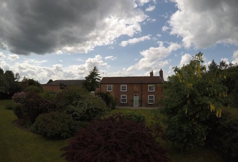 The Vine B & B