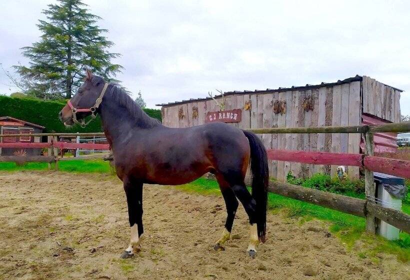 פנסיון Le Ranch De Calamity Jane Tipis D Hôtes