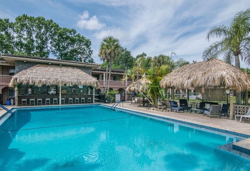 Tahitian Inn Boutique Hotel Tampa
