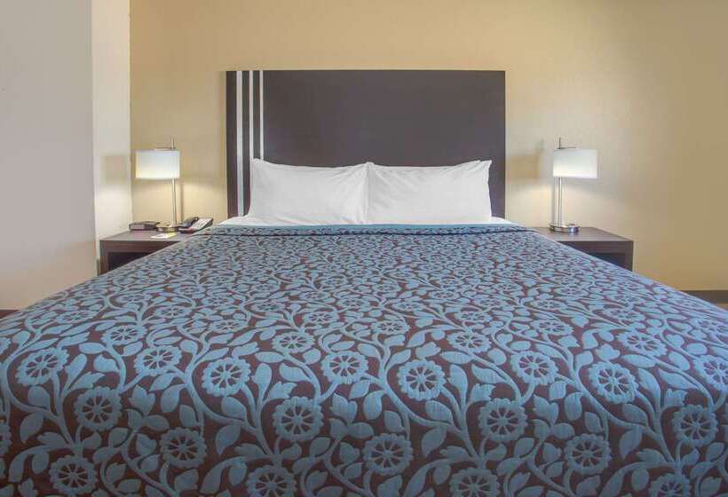 汽车旅馆  Days Inn By Wyndham Le Roy/bloomington Southeast