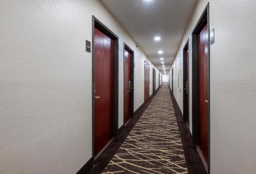 مُتل Red Roof Inn Norfolk   Portsmouth