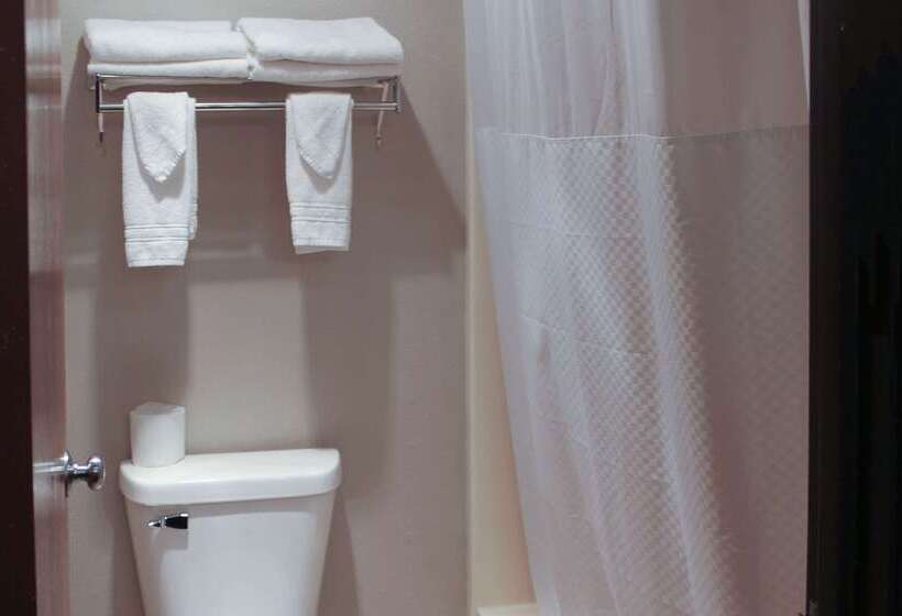 מוטל Rodeway Inn