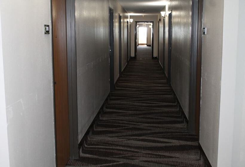 מוטל Rodeway Inn