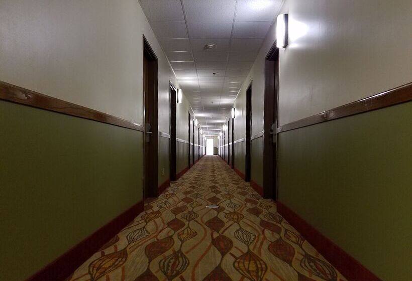 汽车旅馆  Super 8 By Wyndham Dekalb Il