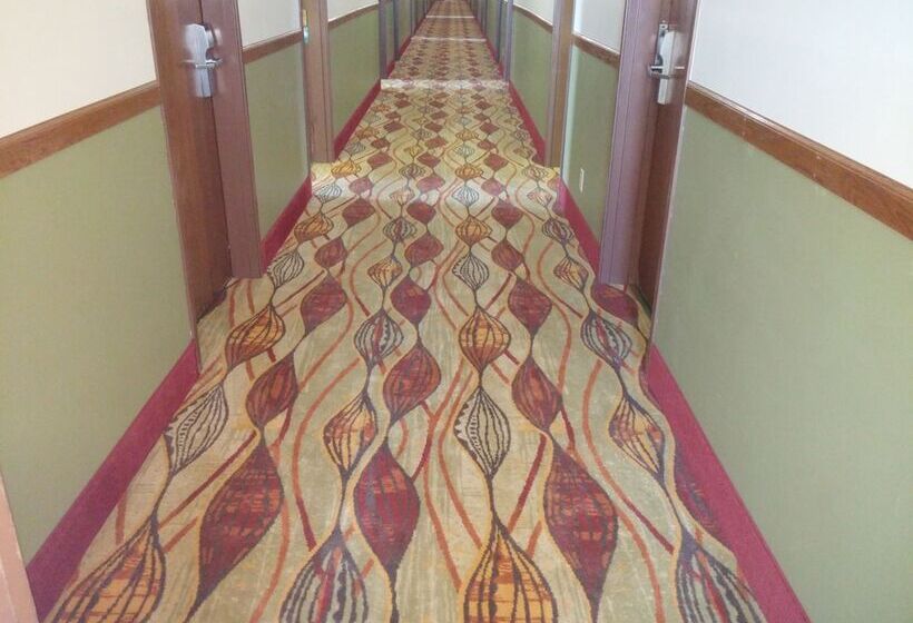 汽车旅馆  Super 8 By Wyndham Dekalb Il