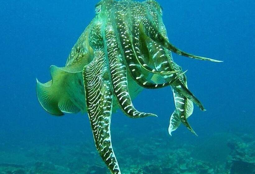 ホテル Go Deeper Tioman
