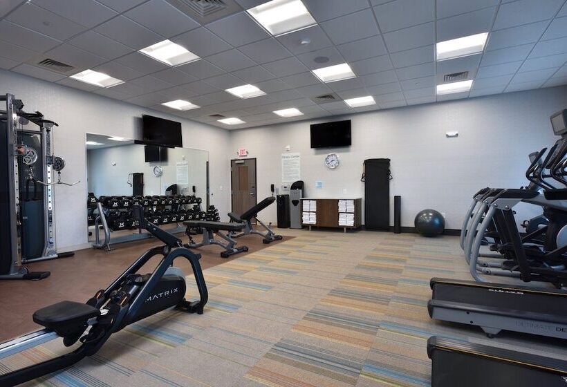 酒店 Holiday Inn Express & Suites Spring   Woodlands Area, An Ihg