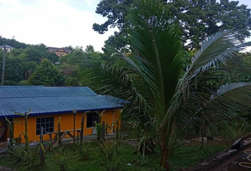 بنسيون Arvad Cottage