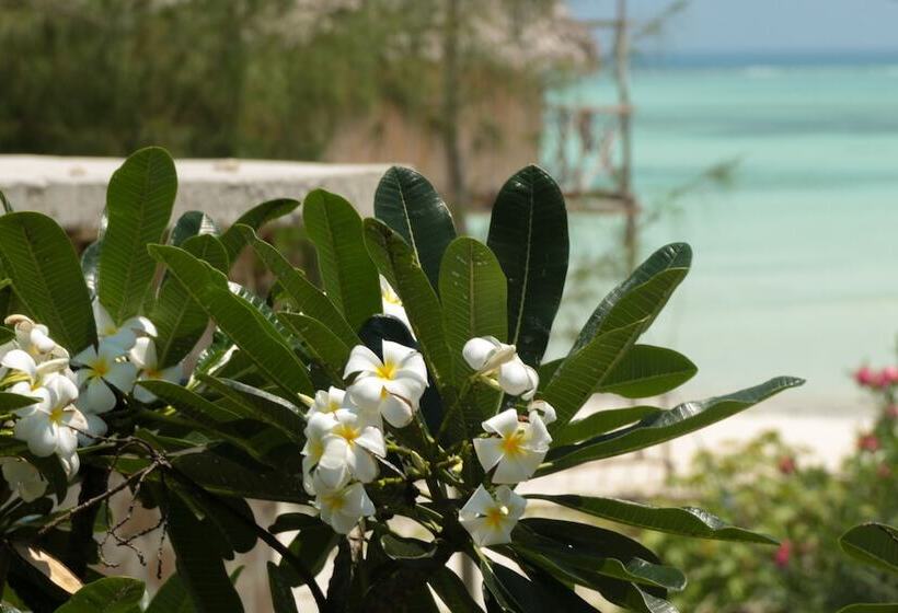 مبيت وإفطار Villa Kiota