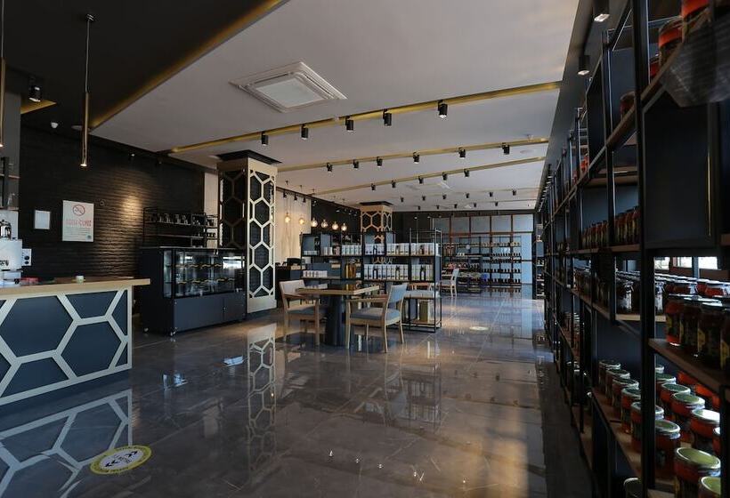 酒店 çalcalar