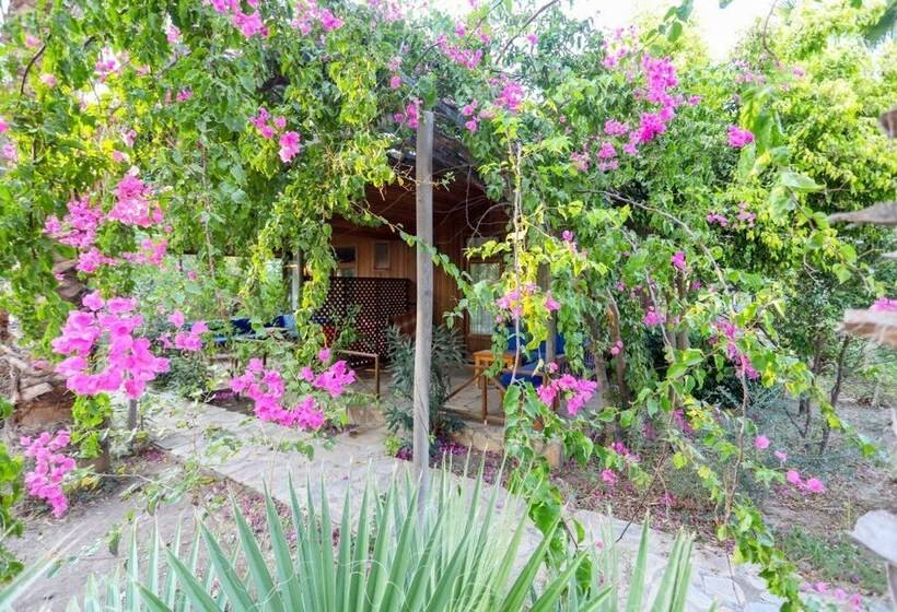 膳宿费 Bizim Cennet Otel Bungalow