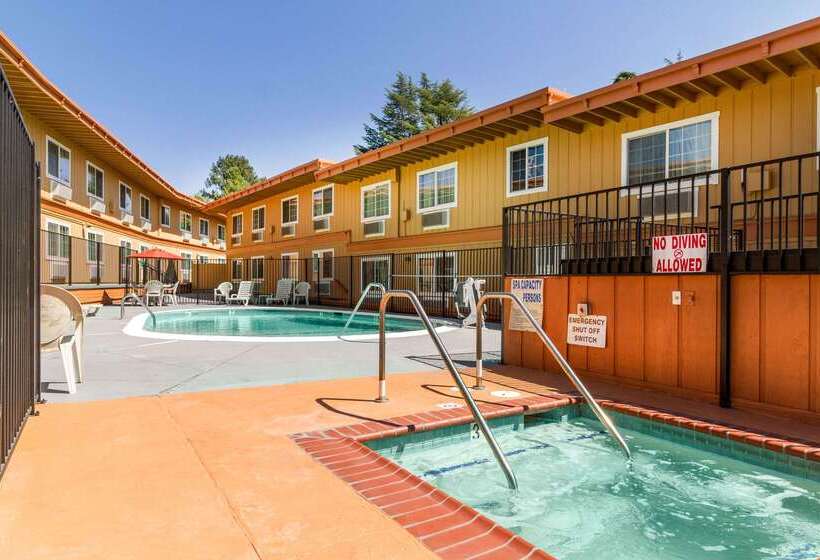 ホテル Rodeway Inn