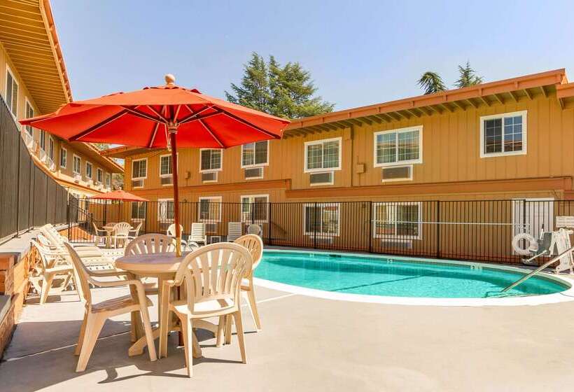 ホテル Rodeway Inn