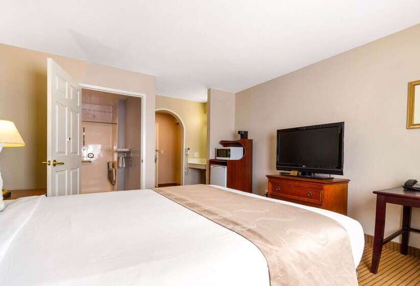 ホテル Rodeway Inn