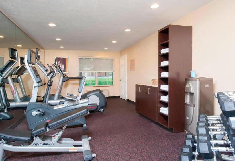 Отель Towneplace Suites Indianapolis Park 100
