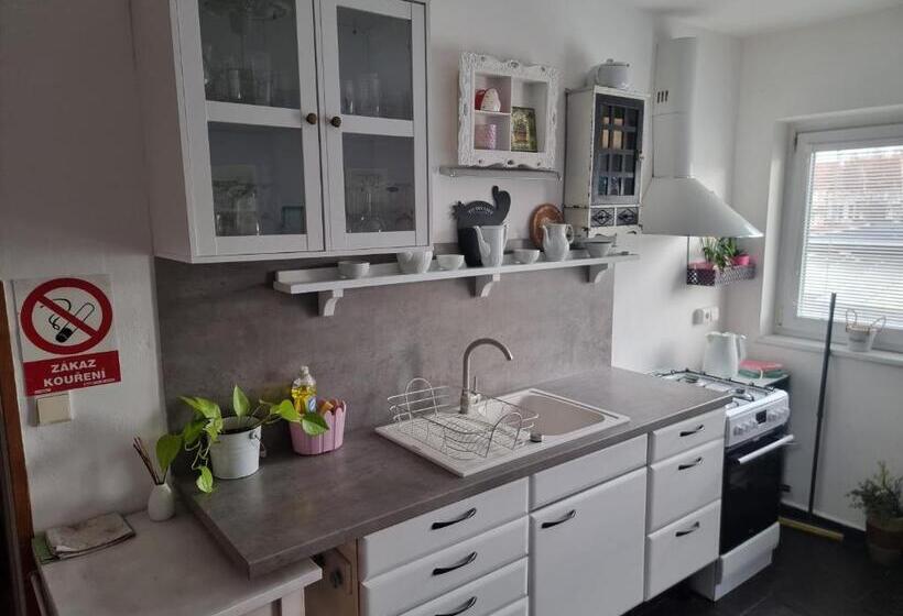 פנסיון Penzion A Víno